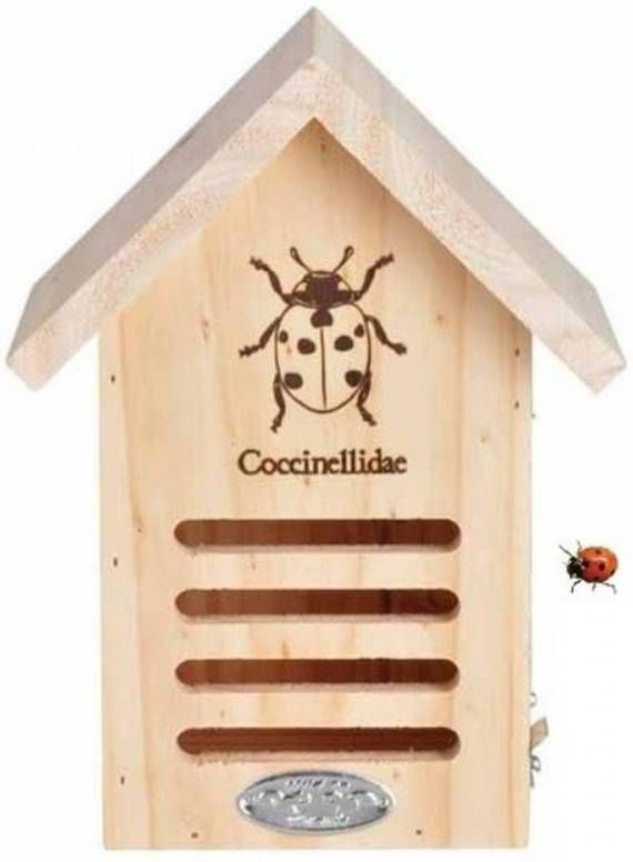 Merkloos Lieveheersbeestjeshotel Huisje Vurenhout 23 Cm Insectenhotel online kopen