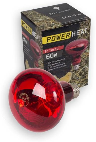 Powerheat Warmtelamp Verwarming 9x9x13 cm Rood 60 Watt online kopen